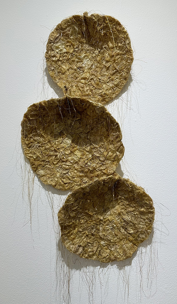 Cocoons